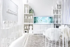 albinosas-tapybos-studija-vilniuje